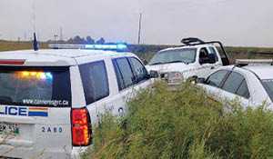 Portage la Prairie RCMP investigate stolen vehicle